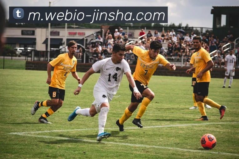 澳门金沙官网平台生态图