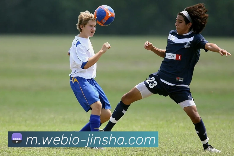 澳门金沙官网APP 封面图